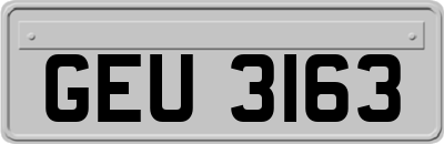 GEU3163