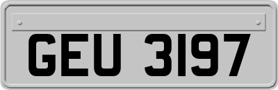 GEU3197