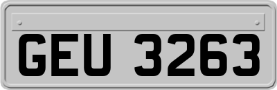 GEU3263