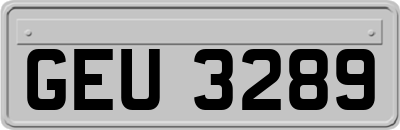 GEU3289