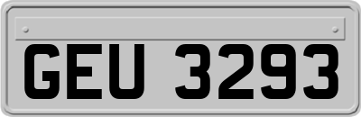 GEU3293