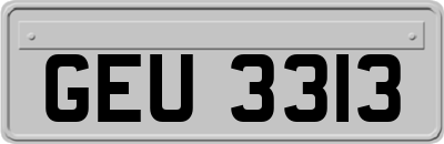 GEU3313