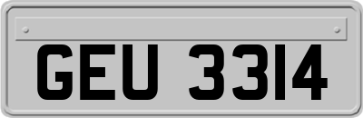 GEU3314