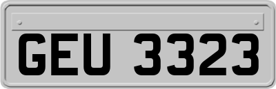 GEU3323