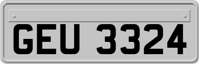 GEU3324