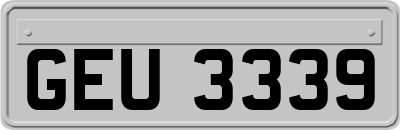 GEU3339