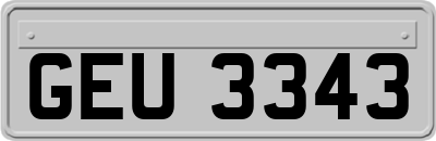 GEU3343