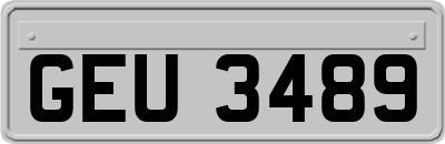 GEU3489