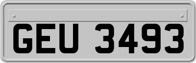 GEU3493