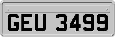 GEU3499