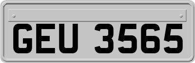 GEU3565