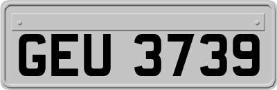 GEU3739