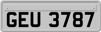 GEU3787