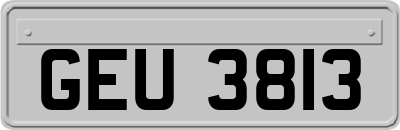GEU3813
