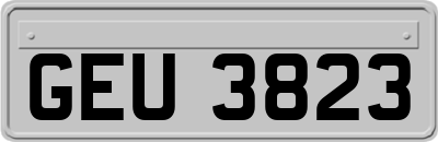 GEU3823