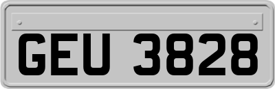 GEU3828