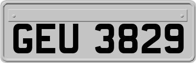 GEU3829