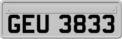 GEU3833