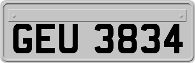 GEU3834