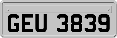 GEU3839