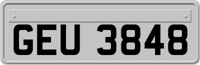 GEU3848