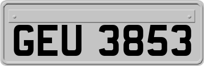 GEU3853