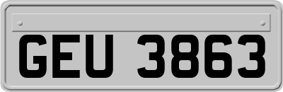 GEU3863