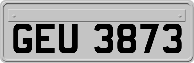 GEU3873