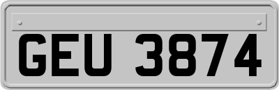 GEU3874