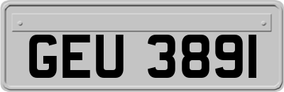 GEU3891