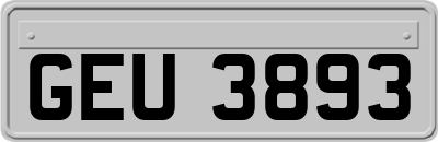 GEU3893