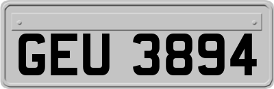 GEU3894