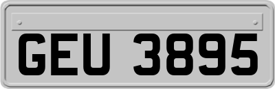 GEU3895