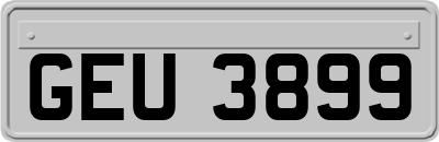 GEU3899