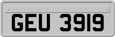 GEU3919
