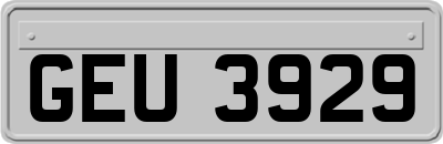 GEU3929