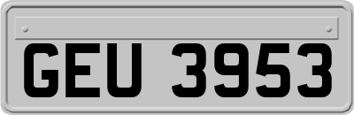 GEU3953