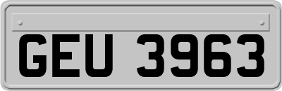 GEU3963