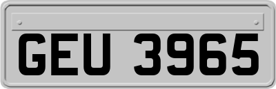 GEU3965