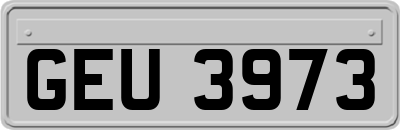 GEU3973