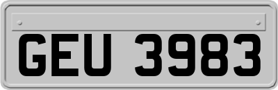 GEU3983