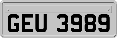 GEU3989