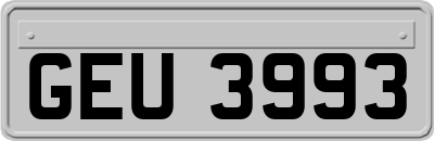GEU3993