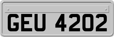 GEU4202
