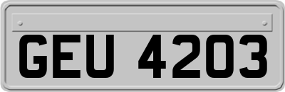 GEU4203