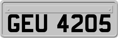 GEU4205