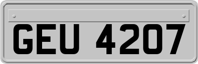 GEU4207