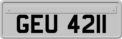 GEU4211