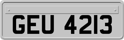 GEU4213