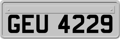 GEU4229